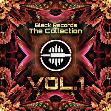 Black Records – The Collection, Vol. 1 by Various Artists - album cover