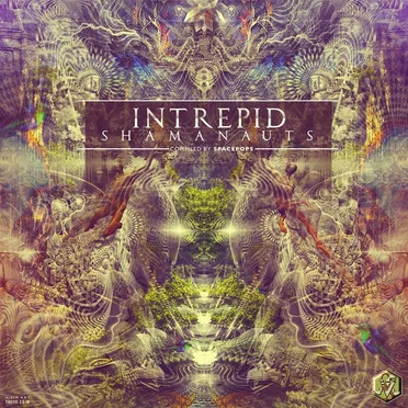 Intrepid Shamanauts by Various Artists - album cover