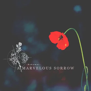 A MARVELOUS SORROW