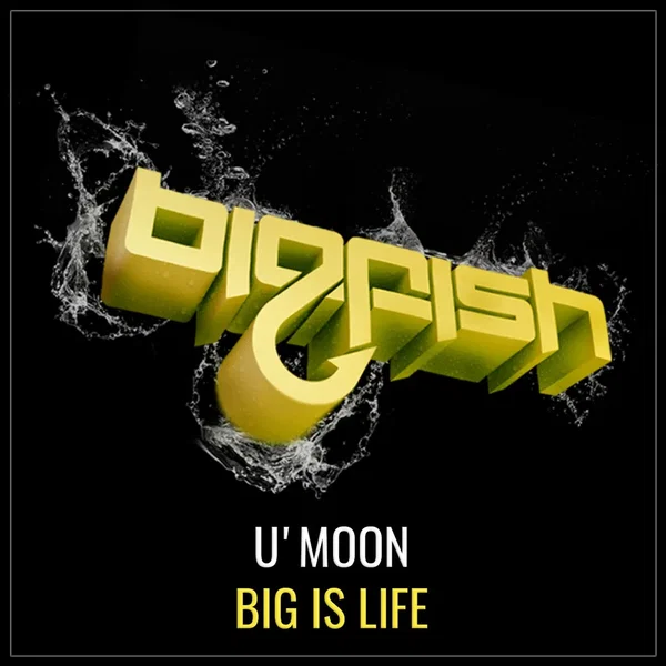 Big Is Life