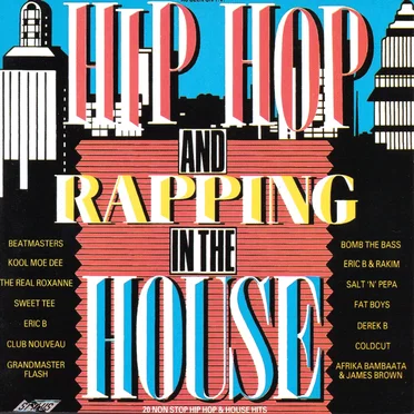 Hip Hop and Rapping in the House by Various Artists - album cover