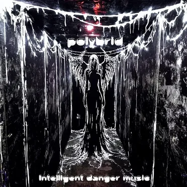Intelligent Danger Music by Polybrid - album cover
