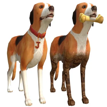dogslife