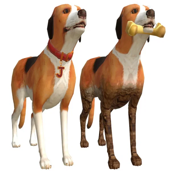 dogslife