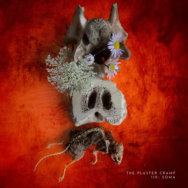 IIX: Soma by The Plaster Cramp - album cover