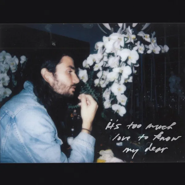 It's Too Much Love to Know My Dear