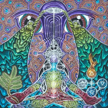 Interdimensional Passport