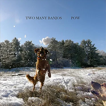 POW by Two Many Banjos - album cover