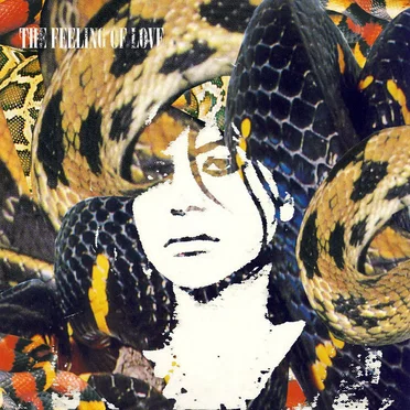 Suck Soul Porn by The Feeling of Love - album cover