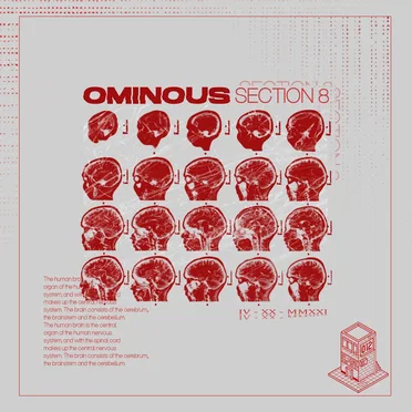 Section 8 by Ominous - album cover
