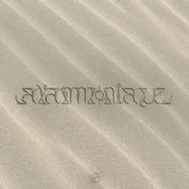 À l'Ammoniaque by PNL - album cover