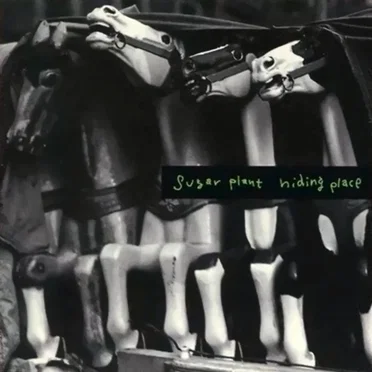 Hiding Place by Sugar Plant - album cover