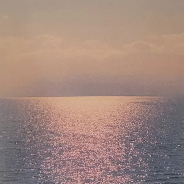 Moon Tide Collection