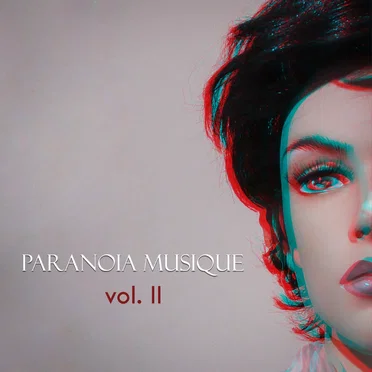Paranoia Musique Vol. 2 by Various Artists - album cover