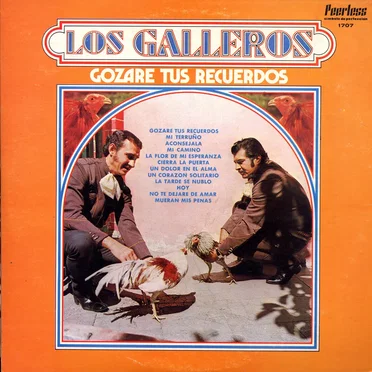Gozaré tus recuerdos