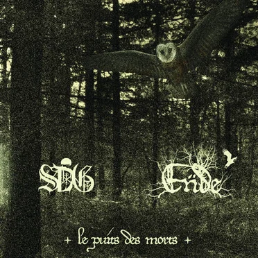 Le Puit Des Morts by Sorcier des Glaces - album cover