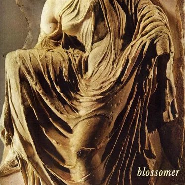 Blossomer by Blossomer - album cover
