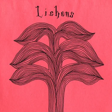 Lichens