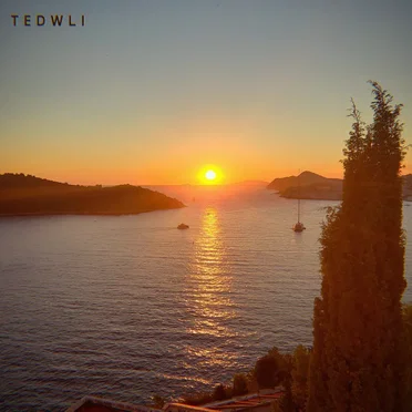 TEDWLI