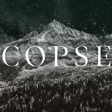MMXXIV by Copse - album cover