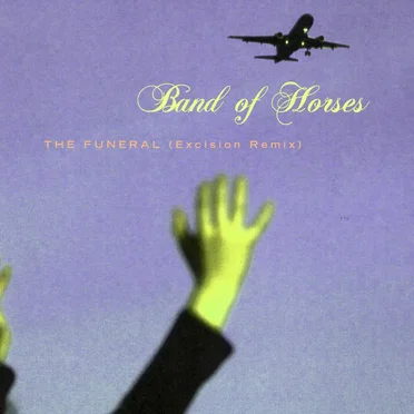 The Funeral (Excision remix)