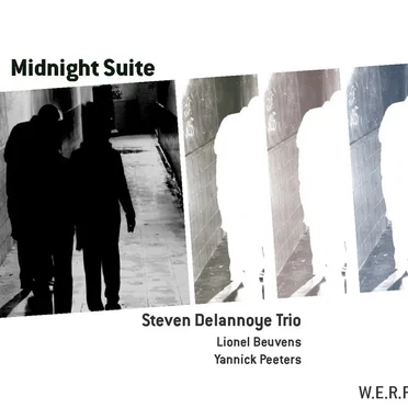 Steven Delannoye Trio