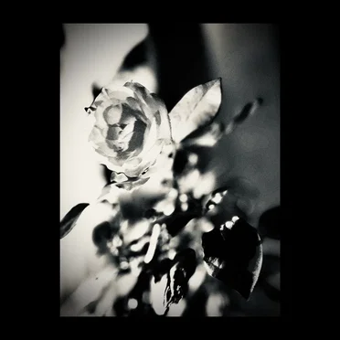 MYTH by Nobuhiro Okahashi - album cover