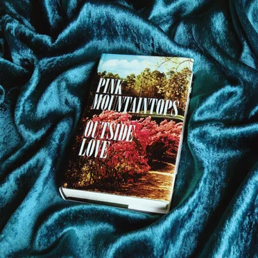 Outside Love by Pink Mountaintops - album cover