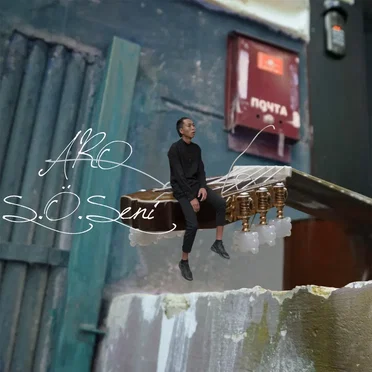S.Ó.Seni by ARO - album cover