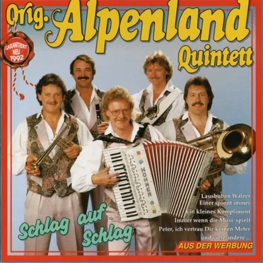 Schlag auf Schlag by Original Alpenland Quintett - album cover