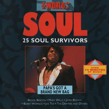 The World of Soul / Papa’s Got a Brand New Bag (disc 3) by Various Artists - album cover
