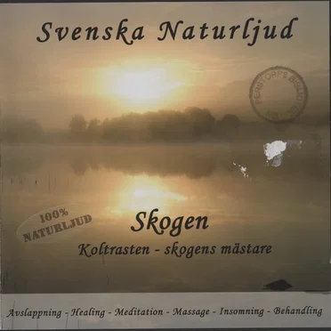 Skogen: Koltrasten – skogens mästare