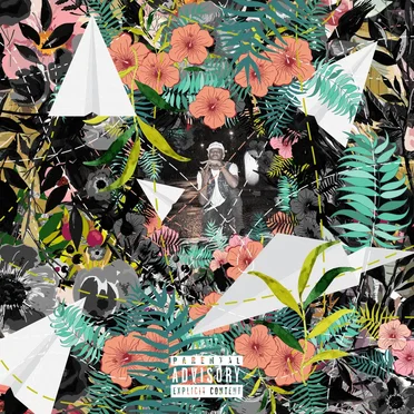 Flowers and Planes by Tuki Carter - album cover