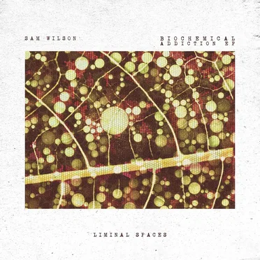 Biochemical Addiction EP