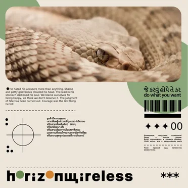 જે કરવું હોયે તે કર | do what you want by h º r ¡ z º n щ ¡ r e l e s s - album cover