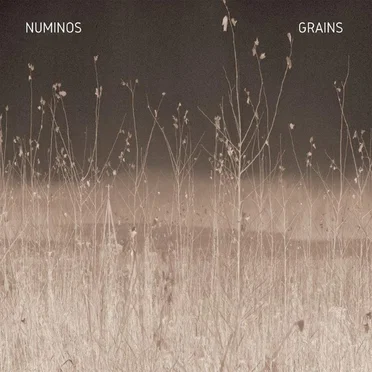 Grains by Numinos - album cover