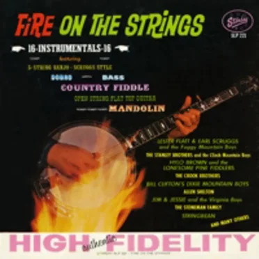 Fire on the Strings: 16 Instrumentals by Various Artists - album cover