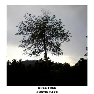 Bree Tree