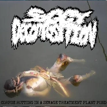 Corpse Rotting In A Sewage Treatment Plant Pond