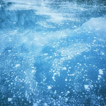 The Frigid Cold
