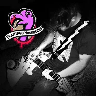 Flamingo Nosebleed by Flamingo Nosebleed - album cover