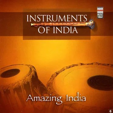 Instruments of India by Various Artists - album cover