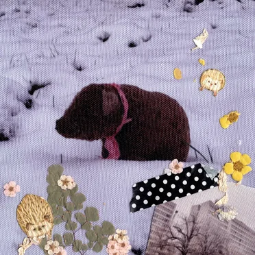 static snow