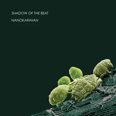 Nanokaravan by Shadow of the Beat - album cover