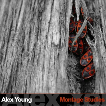 Montage Studies by Alex Young - album cover