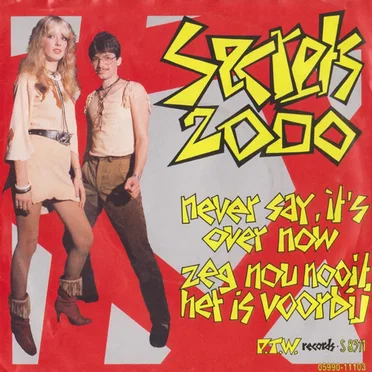 Never Say It's Over Now by Secrets 2000 - album cover