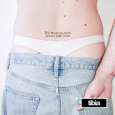 See what heaven looks like now by tibia - album cover