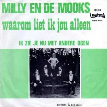 Waarom liet ik jou alleen