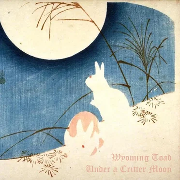 Under a Critter Moon by Wyoming Toad - album cover