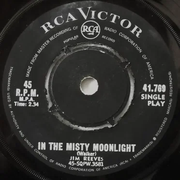 In the Misty Moonlight